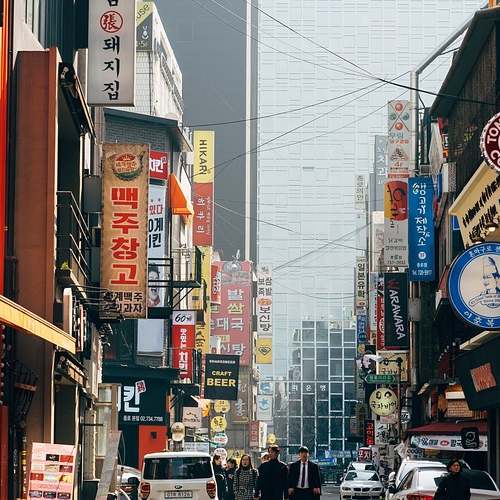 당신의 꿈속 오징어가 전하는 메시지 알아보세요!