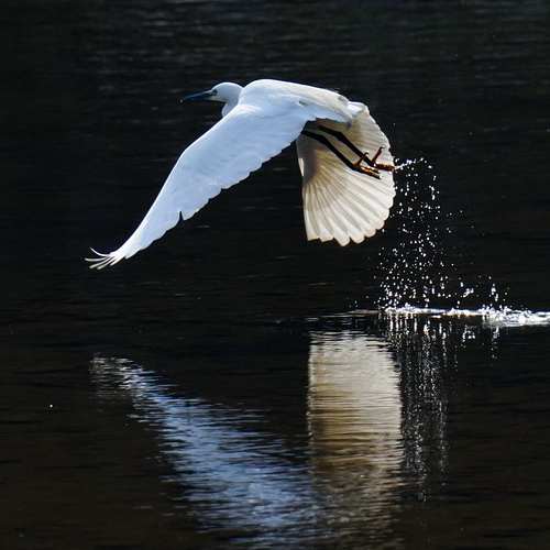 내일배움카드: 직장인과 구직자를 위한 필수 가이드