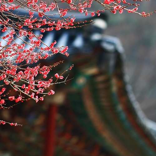 이란과 이스라엘의 갈등, 왜 우리는 관심을 가져야 할까?