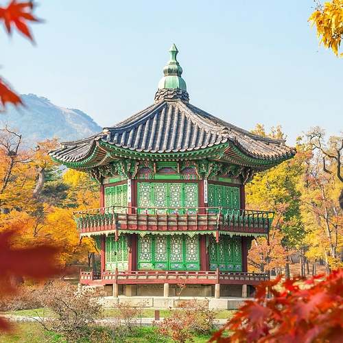 농업회사법인, 법인세 감면비율 및 조건을 놓치지 마세요!