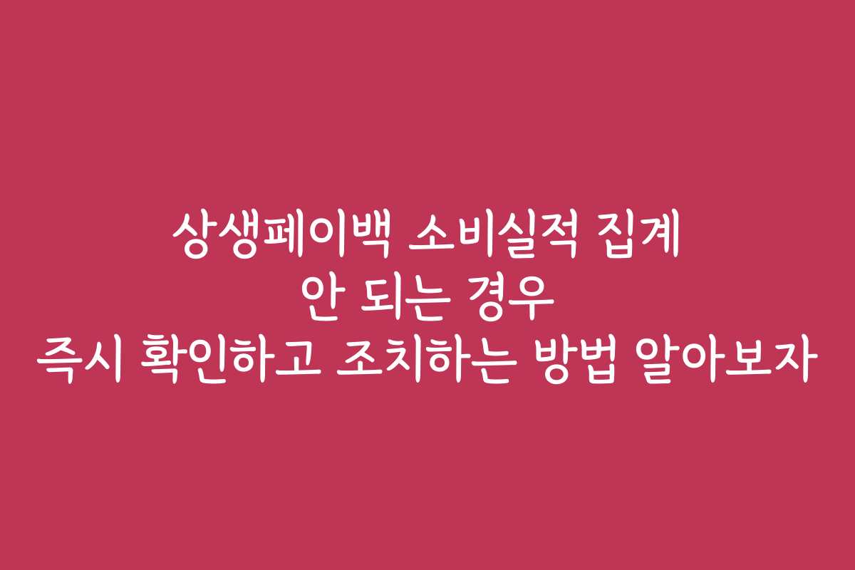 상생페이백 소비실적 집계 안 되는 경우 즉시 확인하고 조치하는 방법 알아보자