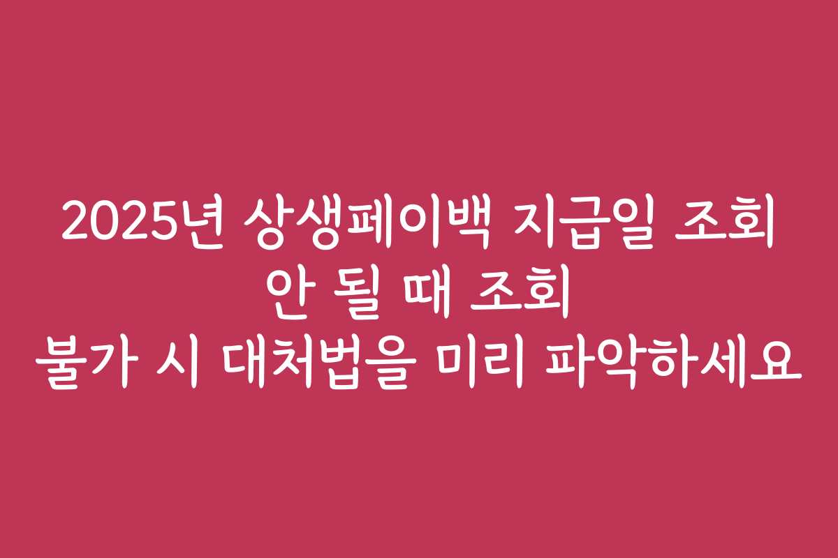 2025년 상생페이백 지급일 조회 안 될 때 조회 불가 시 대처법을 미리 파악하세요