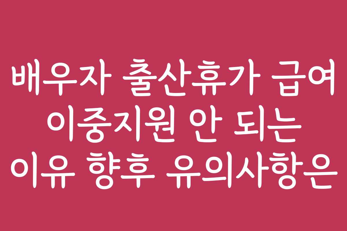 배우자 출산휴가 급여 이중지원 안 되는 이유 향후 유의사항은