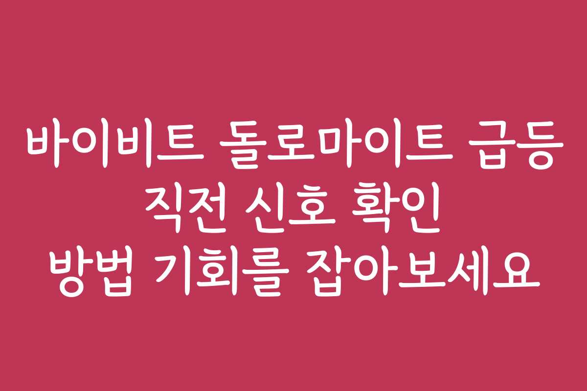 바이비트 돌로마이트 급등 직전 신호 확인 방법 기회를 잡아보세요