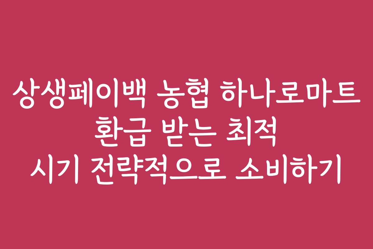 상생페이백 농협 하나로마트 환급 받는 최적 시기 전략적으로 소비하기