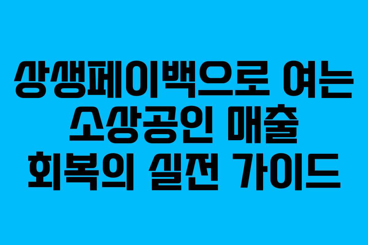 상생페이백으로 여는 소상공인 매출 회복의 실전 가이드