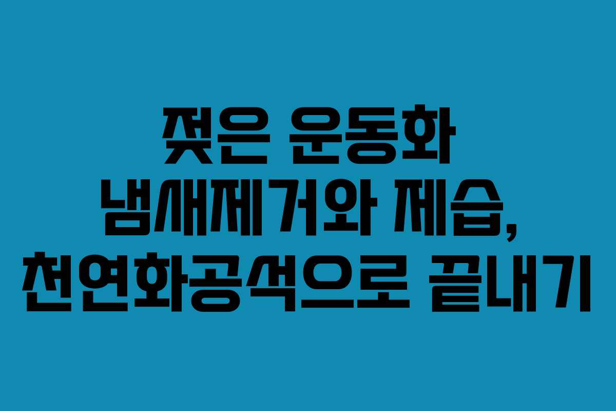 젖은 운동화 냄새제거와 제습, 천연화공석으로 끝내기