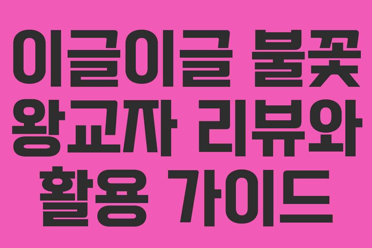 이글이글 불꽃 왕교자 리뷰와 활용 가이드