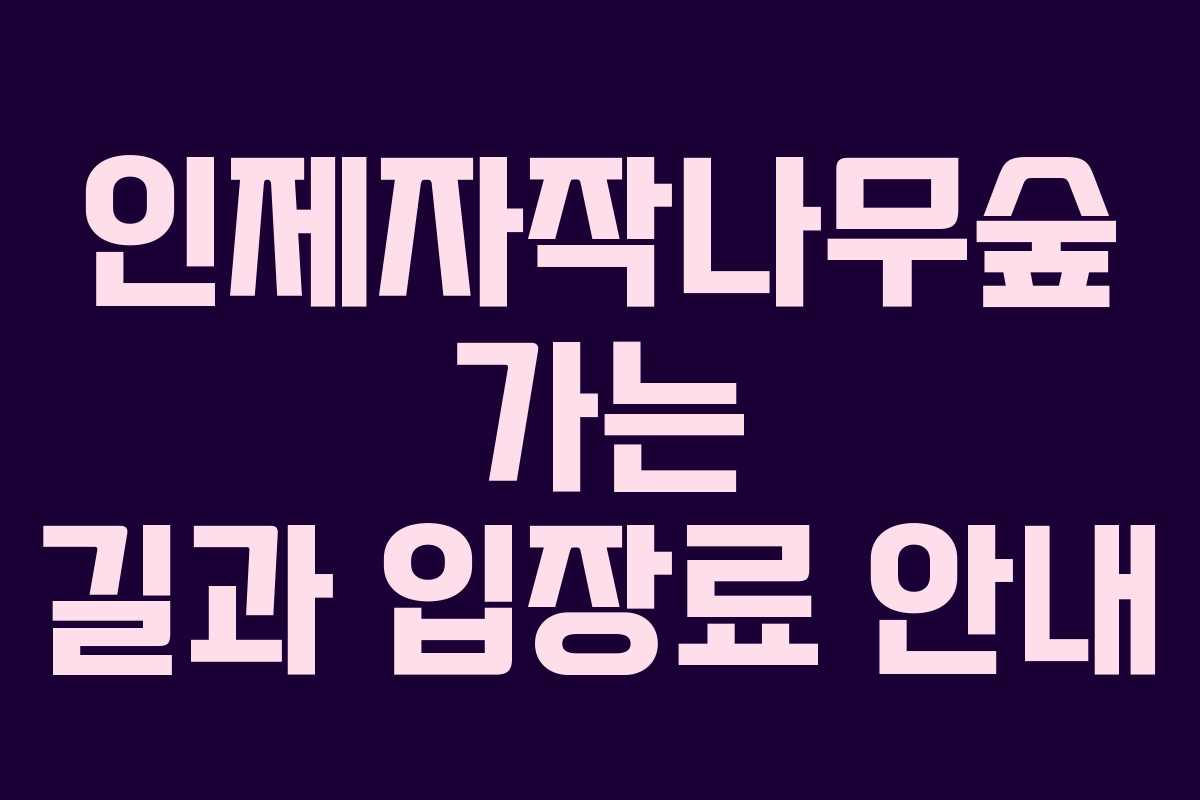 인제자작나무숲 가는 길과 입장료 안내