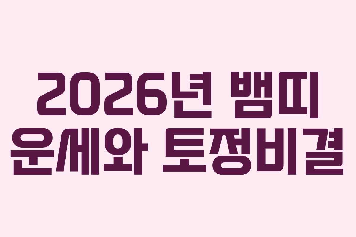 2026년 뱀띠 운세와 토정비결