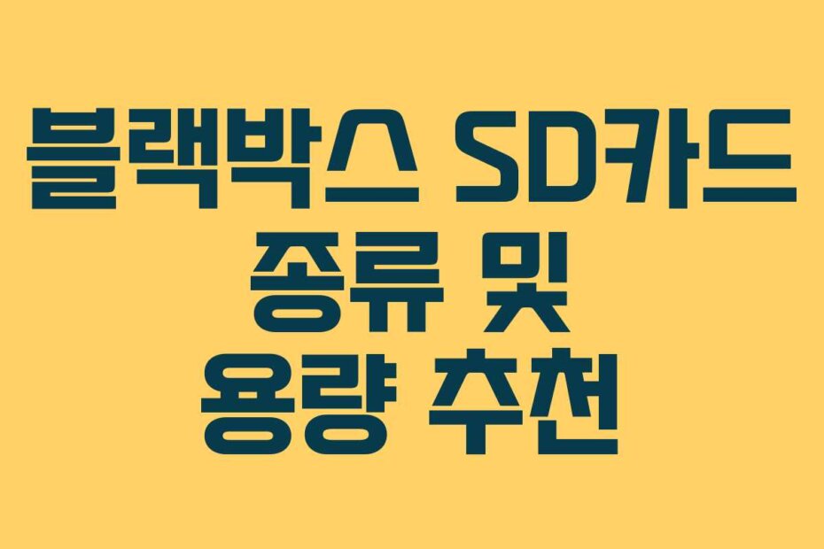 블랙박스 SD카드 종류 및 용량 추천