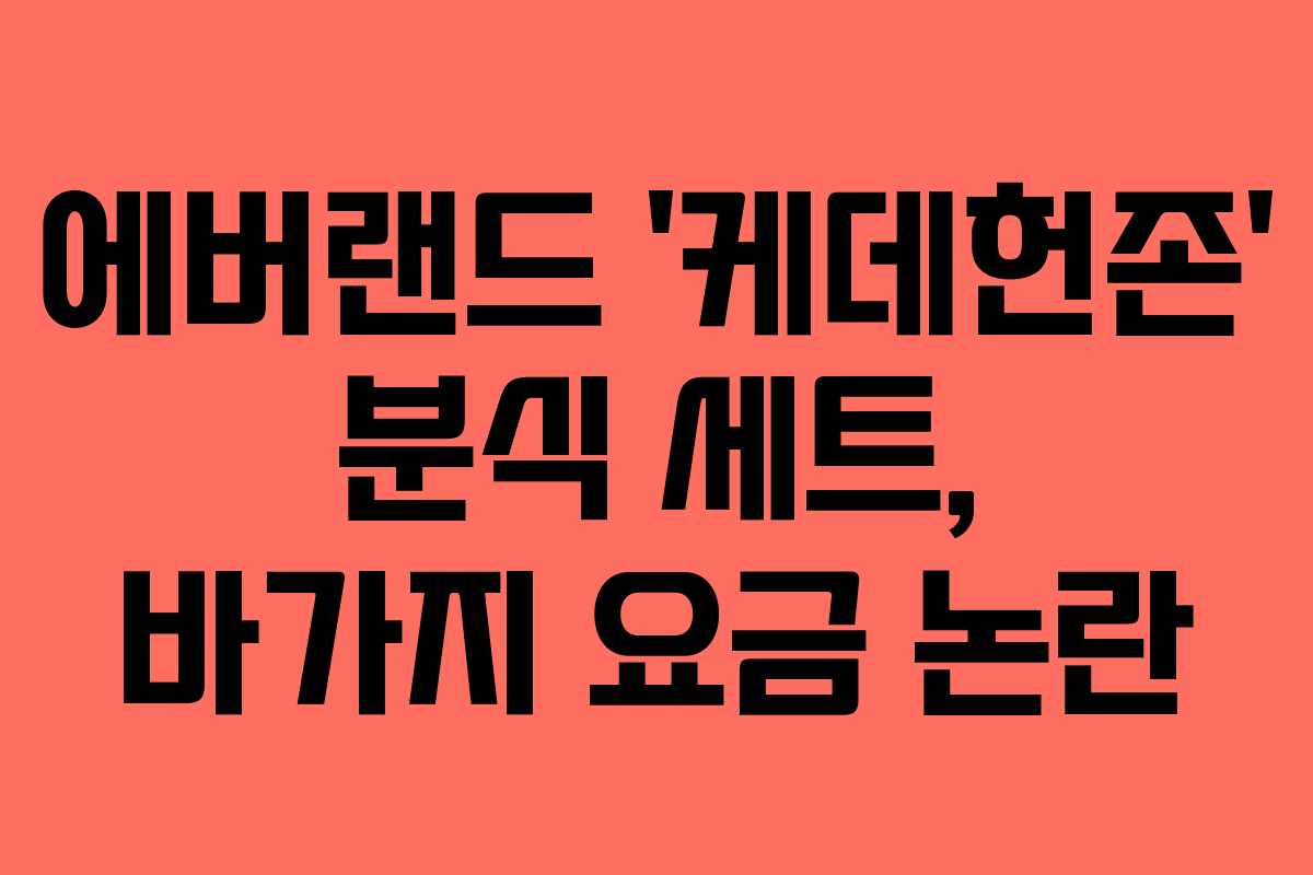 에버랜드 '케데헌존' 분식 세트, 바가지 요금 논란
