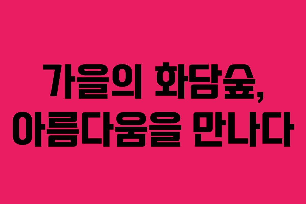 가을의 화담숲, 아름다움을 만나다