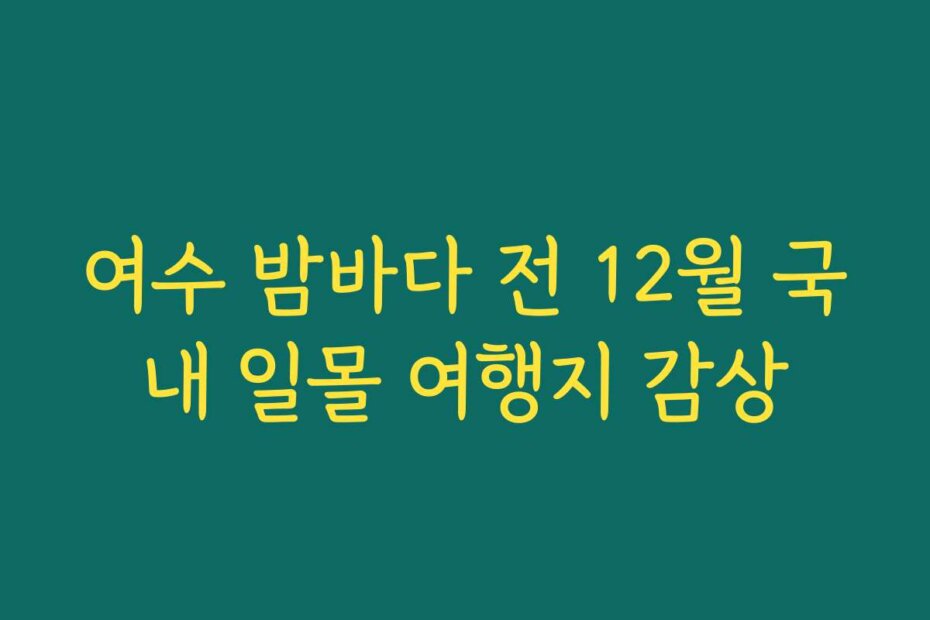 여수 밤바다 전 12월 국내 일몰 여행지 감상