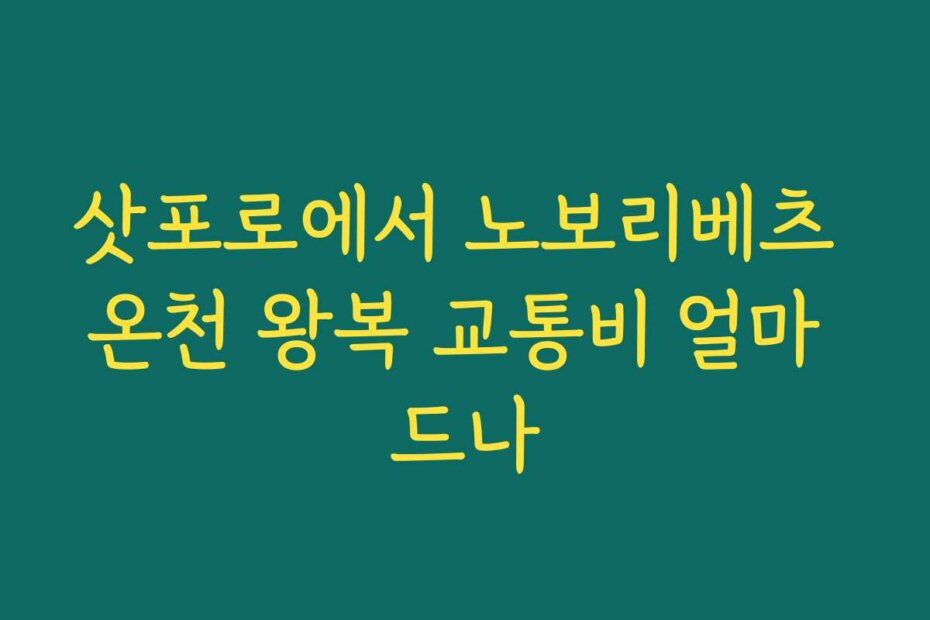 삿포로에서 노보리베츠 온천 왕복 교통비 얼마 드나