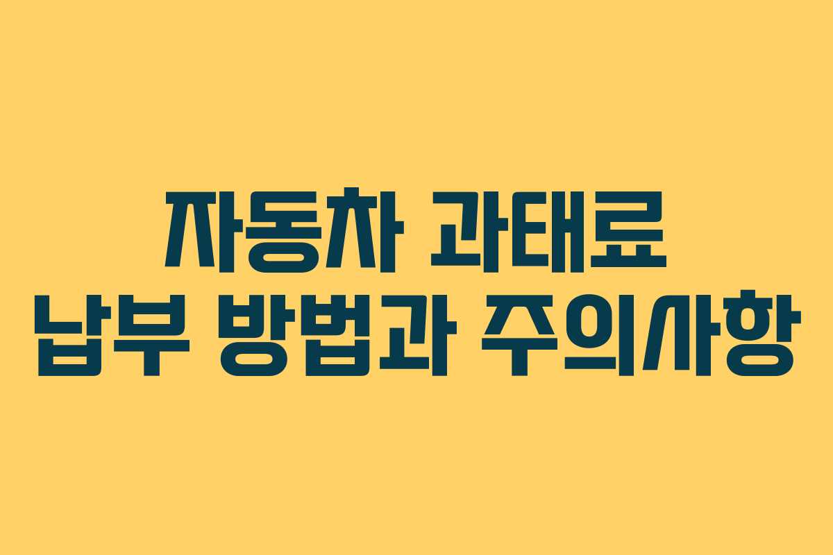 자동차 과태료 납부 방법과 주의사항