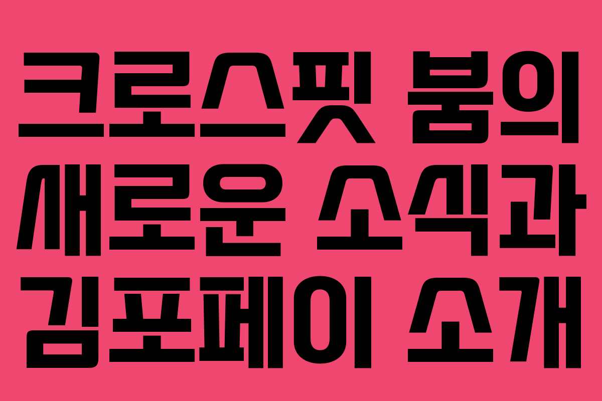 크로스핏 붐의 새로운 소식과 김포페이 소개