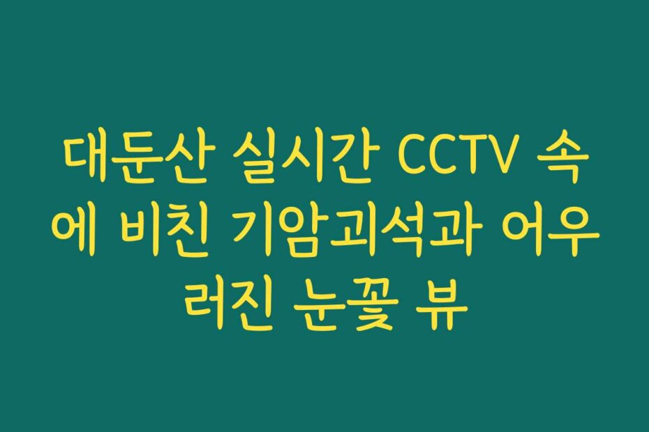 대둔산 실시간 CCTV 속에 비친 기암괴석과 어우러진 눈꽃 뷰