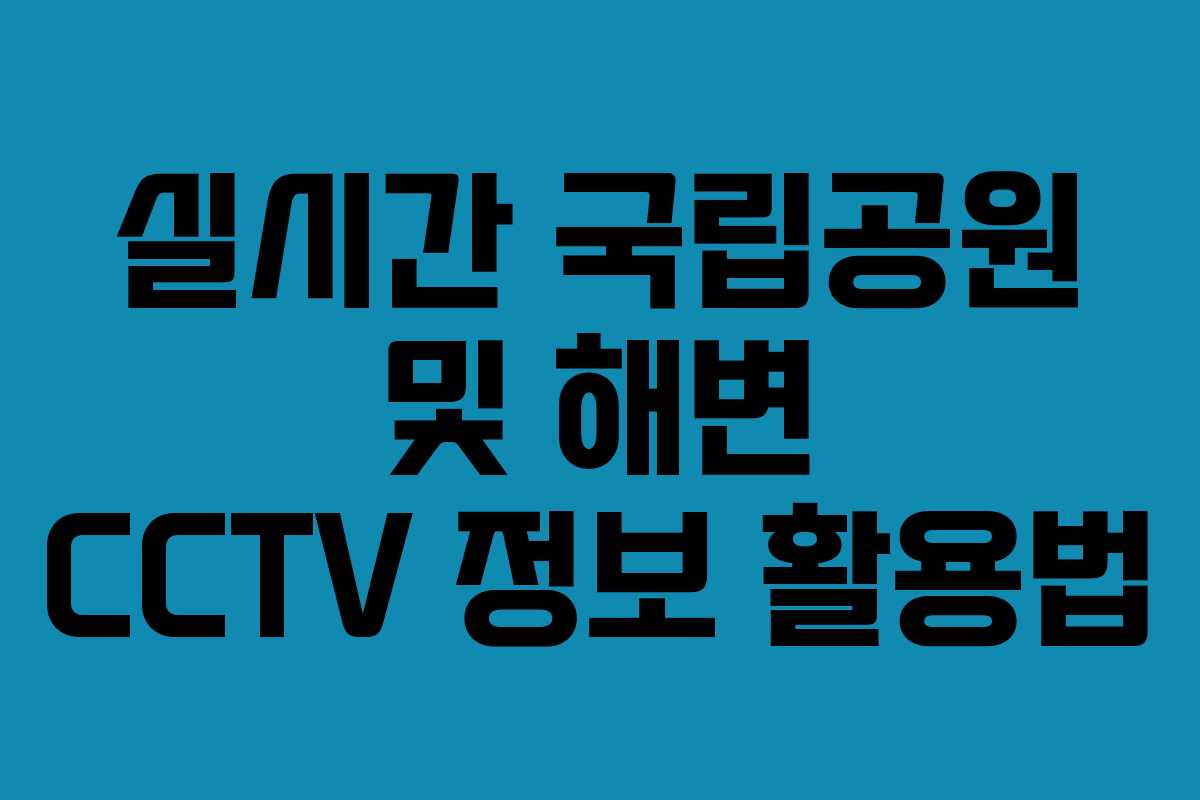 실시간 국립공원 및 해변 CCTV 정보 활용법