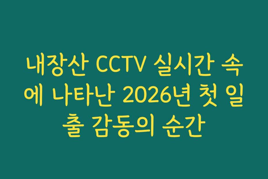 내장산 CCTV 실시간 속에 나타난 2026년 첫 일출 감동의 순간
