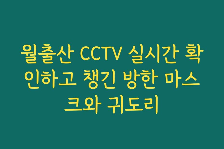 월출산 CCTV 실시간 확인하고 챙긴 방한 마스크와 귀도리