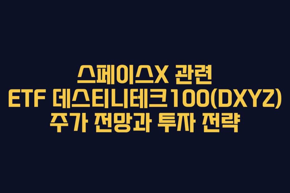 스페이스X 관련 ETF 데스티니테크100(DXYZ) 주가 전망과 투자 전략