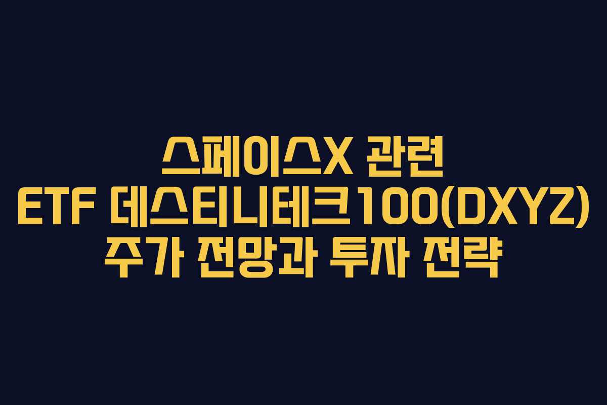 스페이스X 관련 ETF 데스티니테크100(DXYZ) 주가 전망과 투자 전략