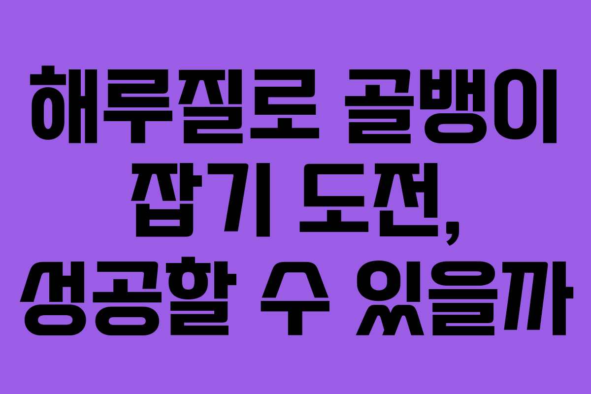 해루질로 골뱅이 잡기 도전, 성공할 수 있을까