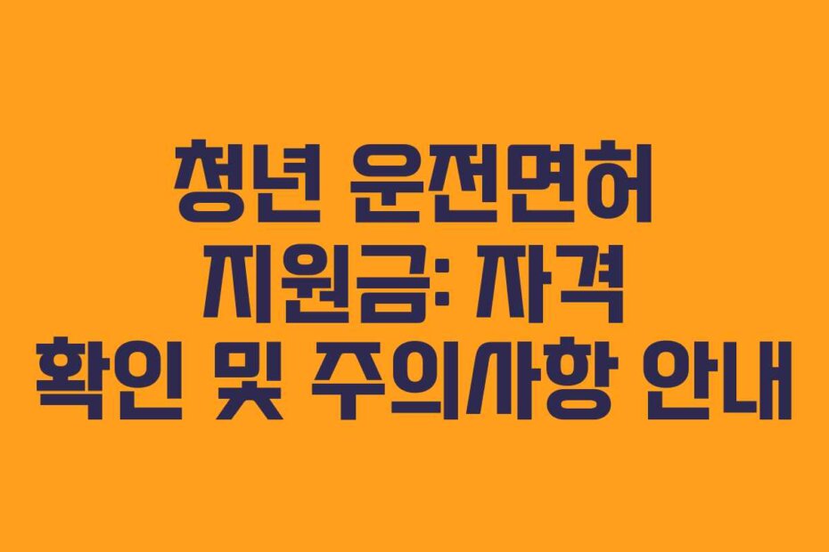 청년 운전면허 지원금: 자격 확인 및 주의사항 안내