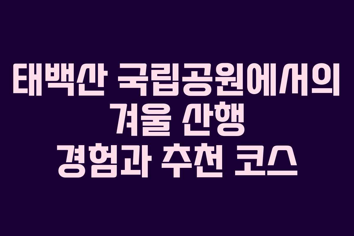 태백산 국립공원에서의 겨울 산행 경험과 추천 코스