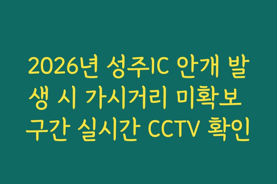 2026년 성주IC 안개 발생 시 가시거리 미확보 구간 실시간 CCTV 확인