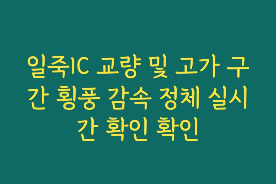 일죽IC 교량 및 고가 구간 횡풍 감속 정체 실시간 확인 확인
