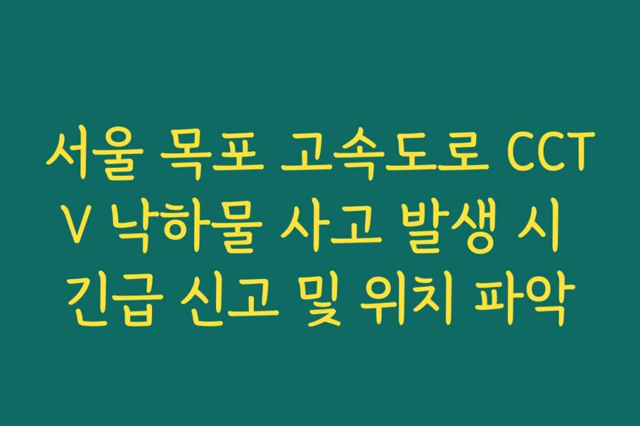 서울 목포 고속도로 CCTV 낙하물 사고 발생 시 긴급 신고 및 위치 파악