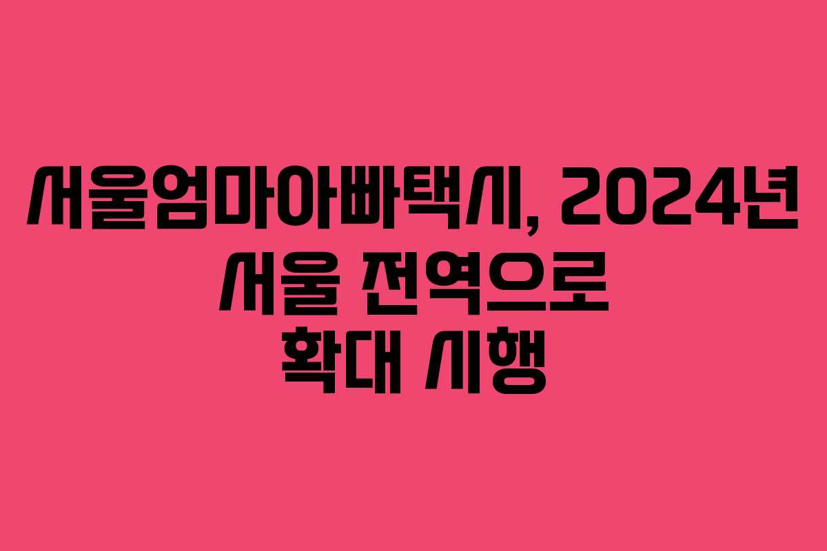 서울엄마아빠택시, 2024년 서울 전역으로 확대 시행