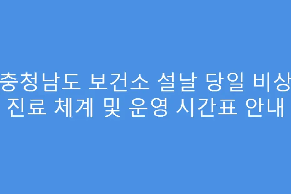 충청남도 보건소 설날 당일 비상 진료 체계 및 운영 시간표 안내