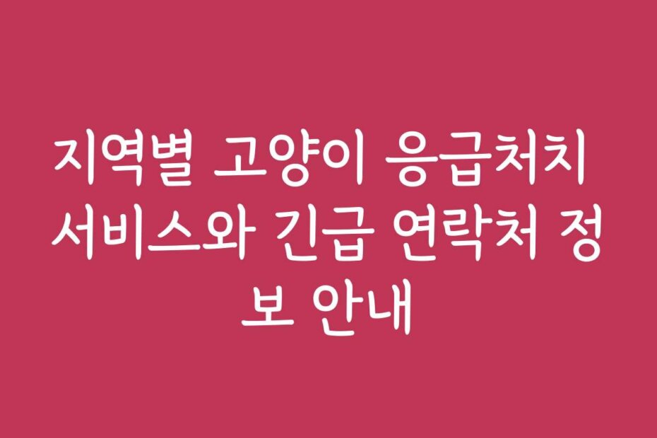 지역별 고양이 응급처치 서비스와 긴급 연락처 정보 안내
