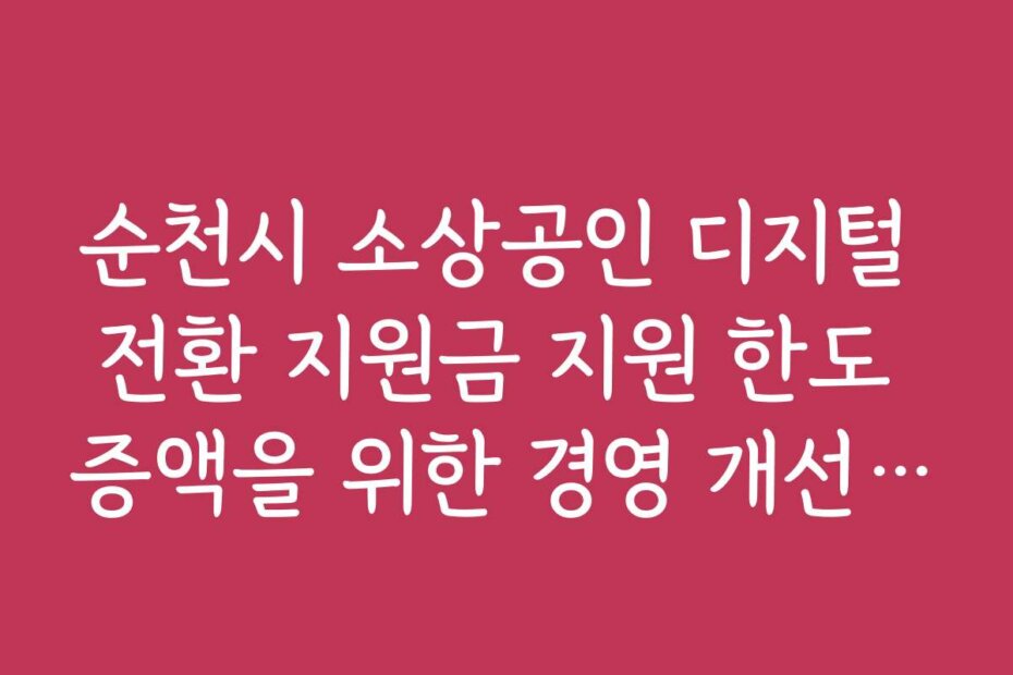 순천시 소상공인 디지털 전환 지원금 지원 한도 증액을 위한 경영 개선 전략