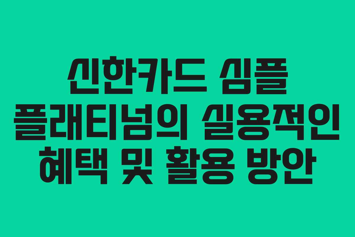 신한카드 심플 플래티넘의 실용적인 혜택 및 활용 방안