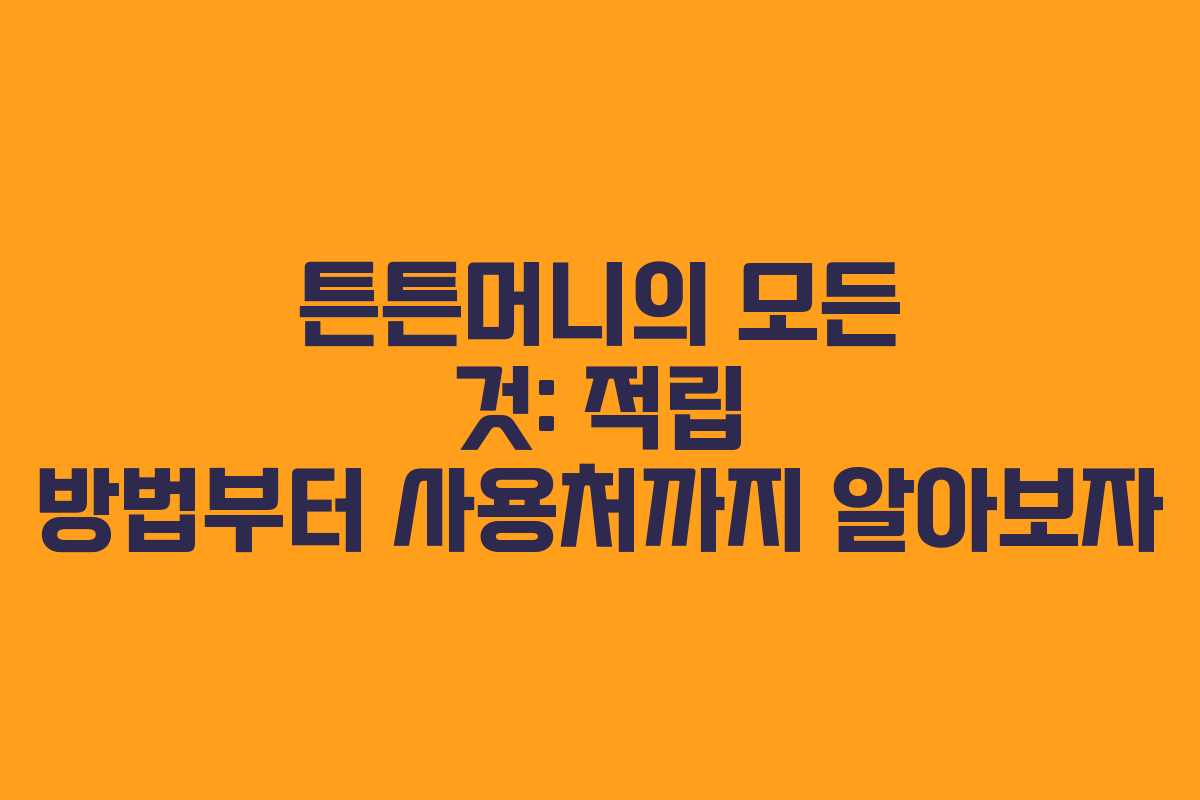 튼튼머니의 모든 것: 적립 방법부터 사용처까지 알아보자
