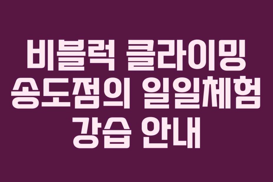 비블럭 클라이밍 송도점의 일일체험 강습 안내