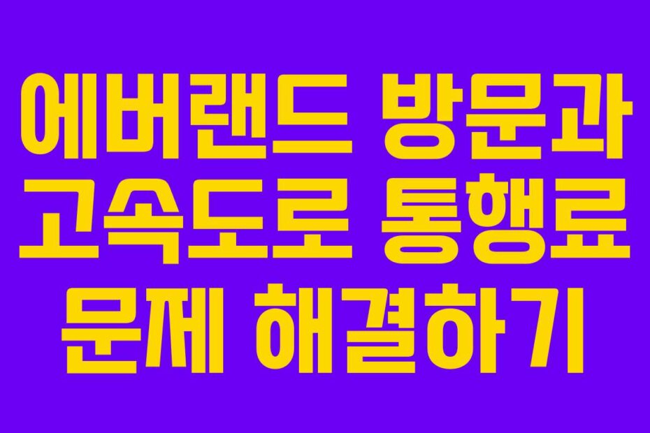 에버랜드 방문과 고속도로 통행료 문제 해결하기