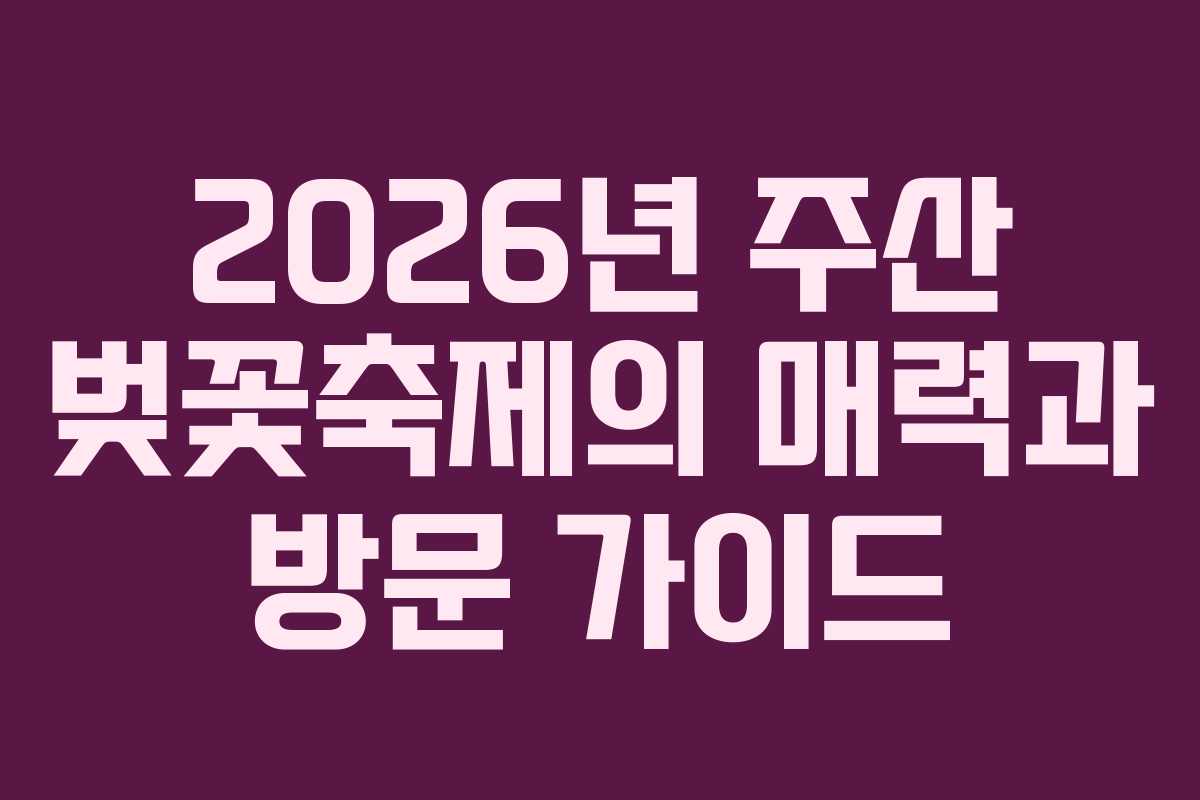 2026년 주산 벚꽃축제의 매력과 방문 가이드