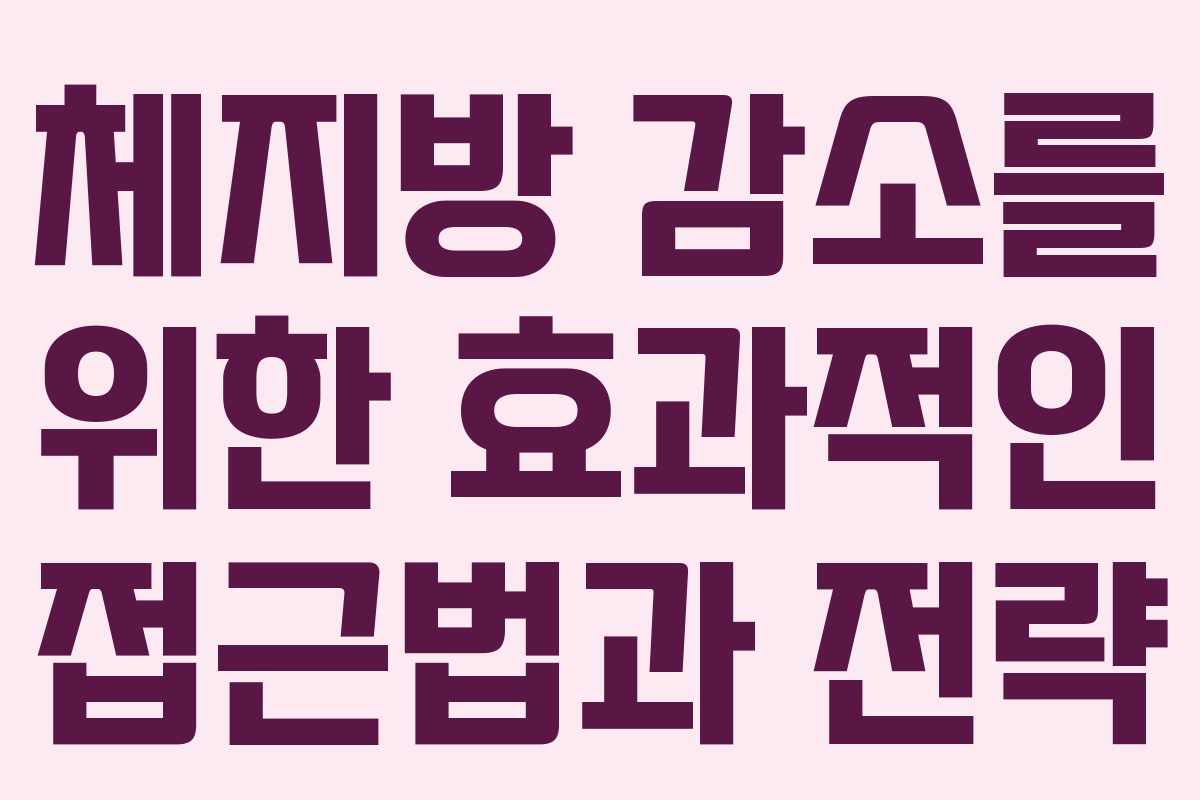 체지방 감소를 위한 효과적인 접근법과 전략