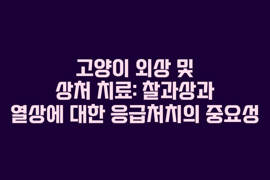 고양이 외상 및 상처 치료: 찰과상과 열상에 대한 응급처치의 중요성