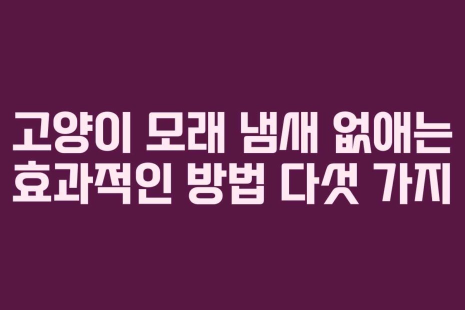 고양이 모래 냄새 없애는 효과적인 방법 다섯 가지
