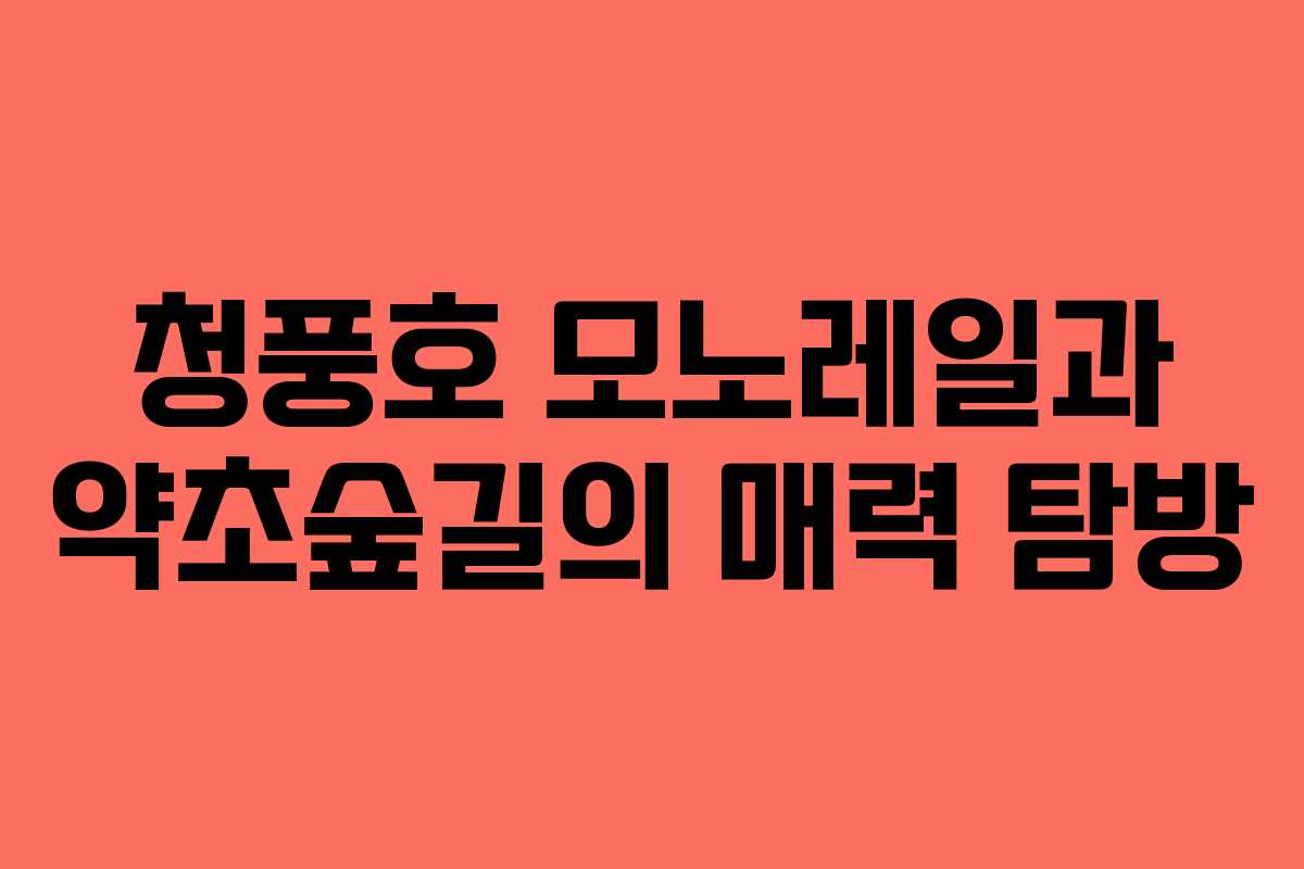 청풍호 모노레일과 약초숲길의 매력 탐방