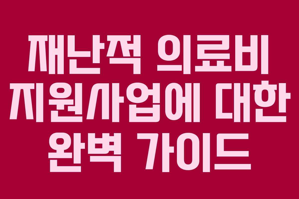 재난적 의료비 지원사업에 대한 완벽 가이드