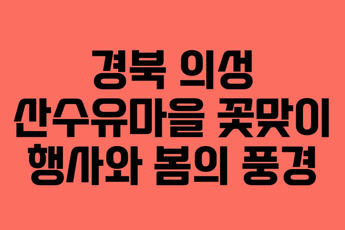 경북 의성 산수유마을 꽃맞이 행사와 봄의 풍경