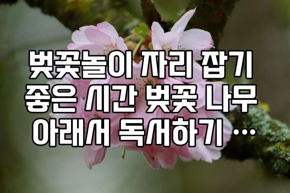 벚꽃놀이 자리 잡기 좋은 시간 벚꽃 나무 아래서 독서하기 좋은 시각