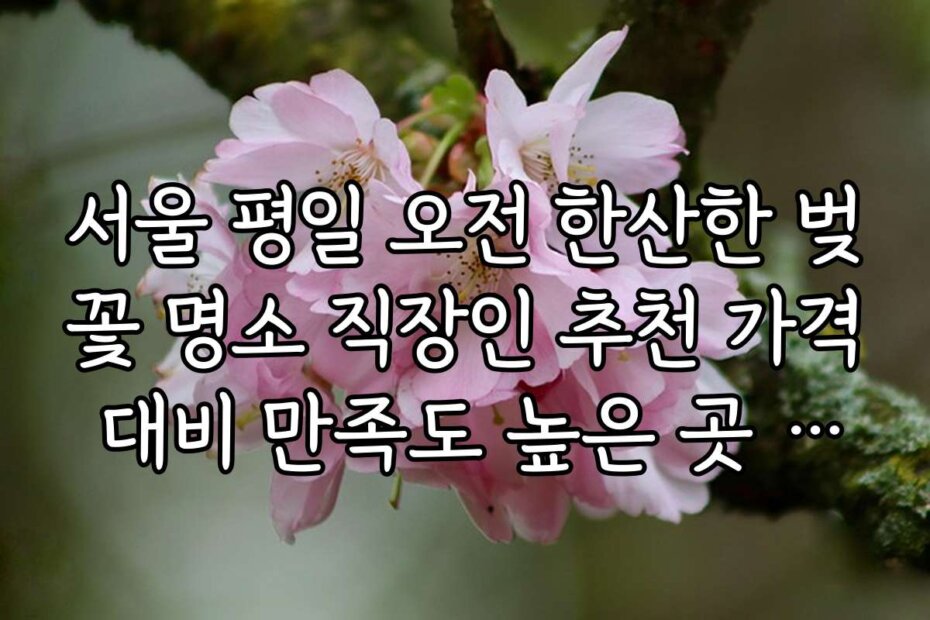 서울 평일 오전 한산한 벚꽃 명소 직장인 추천 가격 대비 만족도 높은 곳 추천